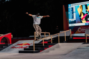 wsg mauro wsg mauro