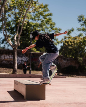 wsg mauro wsg mauro
