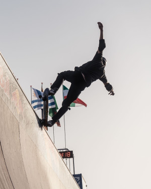 wsg vert
