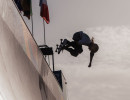 wsg vert