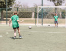 caivano1