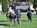 6 Barriere Premiazioni FOTO GOBBI GMT 10