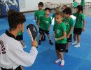 IMG_7098 IMG_7098