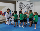 IMG_7135 IMG_7135