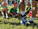 IMG_7165 IMG_7165