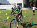 IMG_7236 IMG_7236