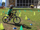 IMG_7239 IMG_7239