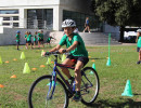 IMG_7240 IMG_7240