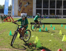 IMG_7243 IMG_7243