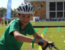 IMG_7244 IMG_7244
