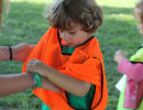 IMG_7267 IMG_7267