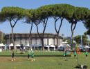 IMG_7286 IMG_7286