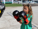 IMG_7323 IMG_7323