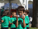 IMG_7467 IMG_7467