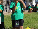 IMG_7482 IMG_7482