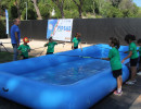 IMG_7484 IMG_7484