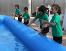 IMG_7486 IMG_7486