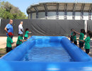 IMG_7488 IMG_7488