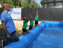 IMG_7494 IMG_7494