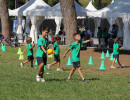 IMG_7530 IMG_7530