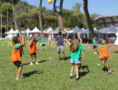 IMG_7541 IMG_7541