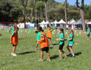 IMG_7544 IMG_7544