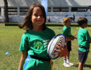 IMG_7564 IMG_7564