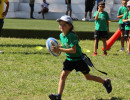 IMG_7572 IMG_7572