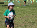 IMG_7575 IMG_7575