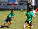 IMG_7592 IMG_7592