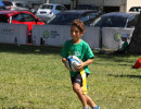 IMG_7594 IMG_7594