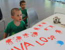 IMG_7664 IMG_7664