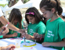 IMG_7682 IMG_7682