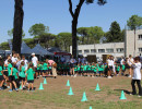 IMG_7718 IMG_7718