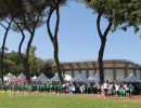 IMG_7737 IMG_7737
