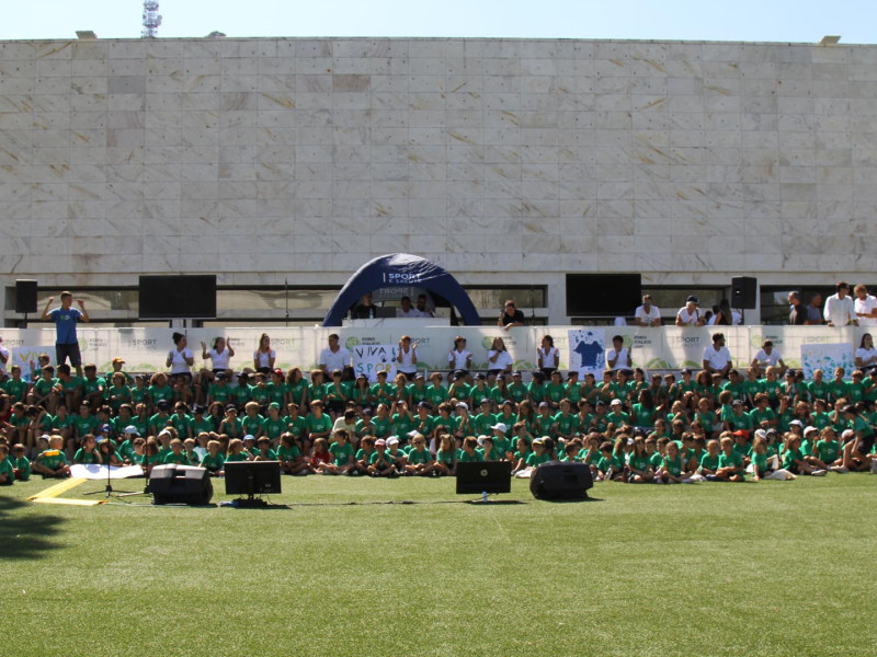 IMG_7845 IMG_7845