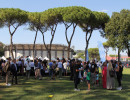 IMG_7976 IMG_7976