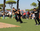IMG_7992 IMG_7992