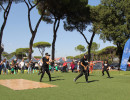 IMG_7993 IMG_7993