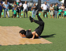 IMG_7996 IMG_7996