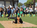 IMG_8005 IMG_8005