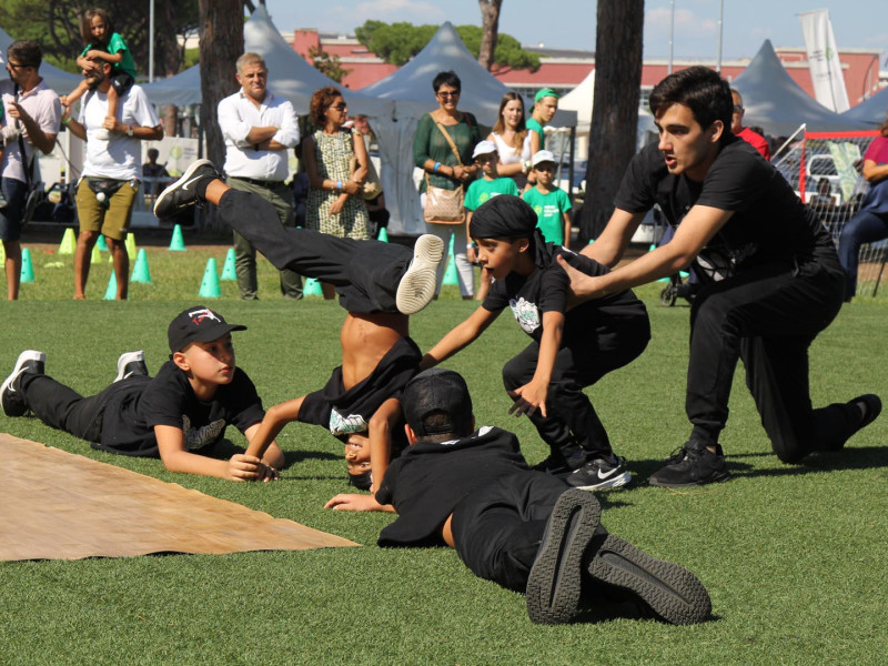 IMG_8008 IMG_8008