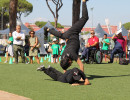 IMG_8011 IMG_8011