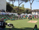 IMG_8013 IMG_8013