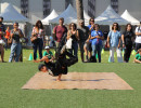 IMG_8017 IMG_8017