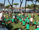 IMG_8031 IMG_8031