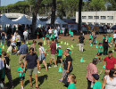 IMG_8034 IMG_8034