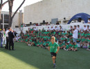 IMG_8103 IMG_8103