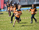 DSC_1373 DSC_1373