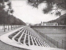 circolo-storia-2_20201125_1463199989_20201210_1379054157_20211210_1532339808